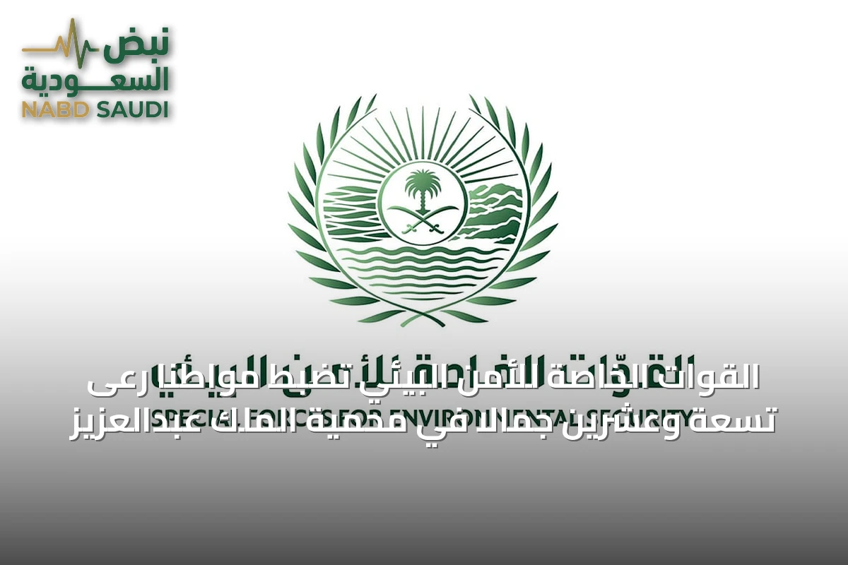 القوات الخاصة للأمن البيئي تضبط مواطنًا رعى تسعة وعشرين جمالًا في محمية الملك عبدالعزيز