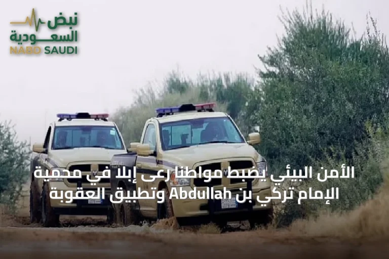 الأمن البيئي يضبط مواطنًا رعى إبلًا في محمية الإمام تركي بن Abdullah وتطبيق العقوبة