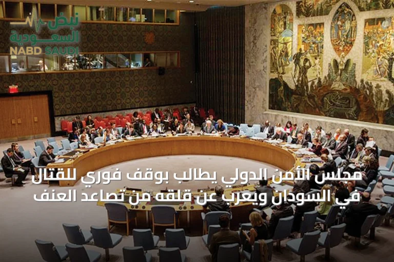مجلس الأمن الدولي يطالب بوقف فوري للقتال في السودان ويعرب عن قلقه من تصاعد العنف