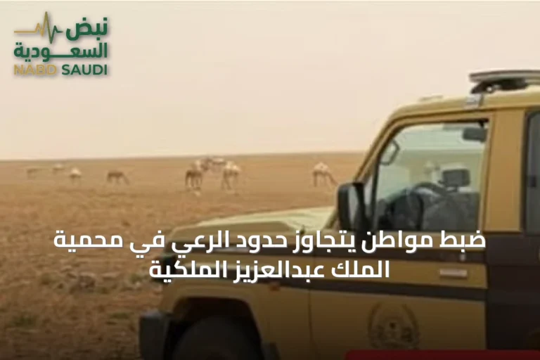 ضبط مواطن يتجاوز حدود الرعي في محمية الملك عبدالعزيز الملكية