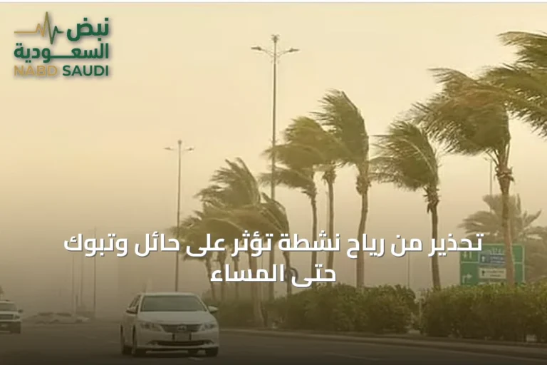 تحذير من رياح نشطة تؤثر على حائل وتبوك حتى المساء