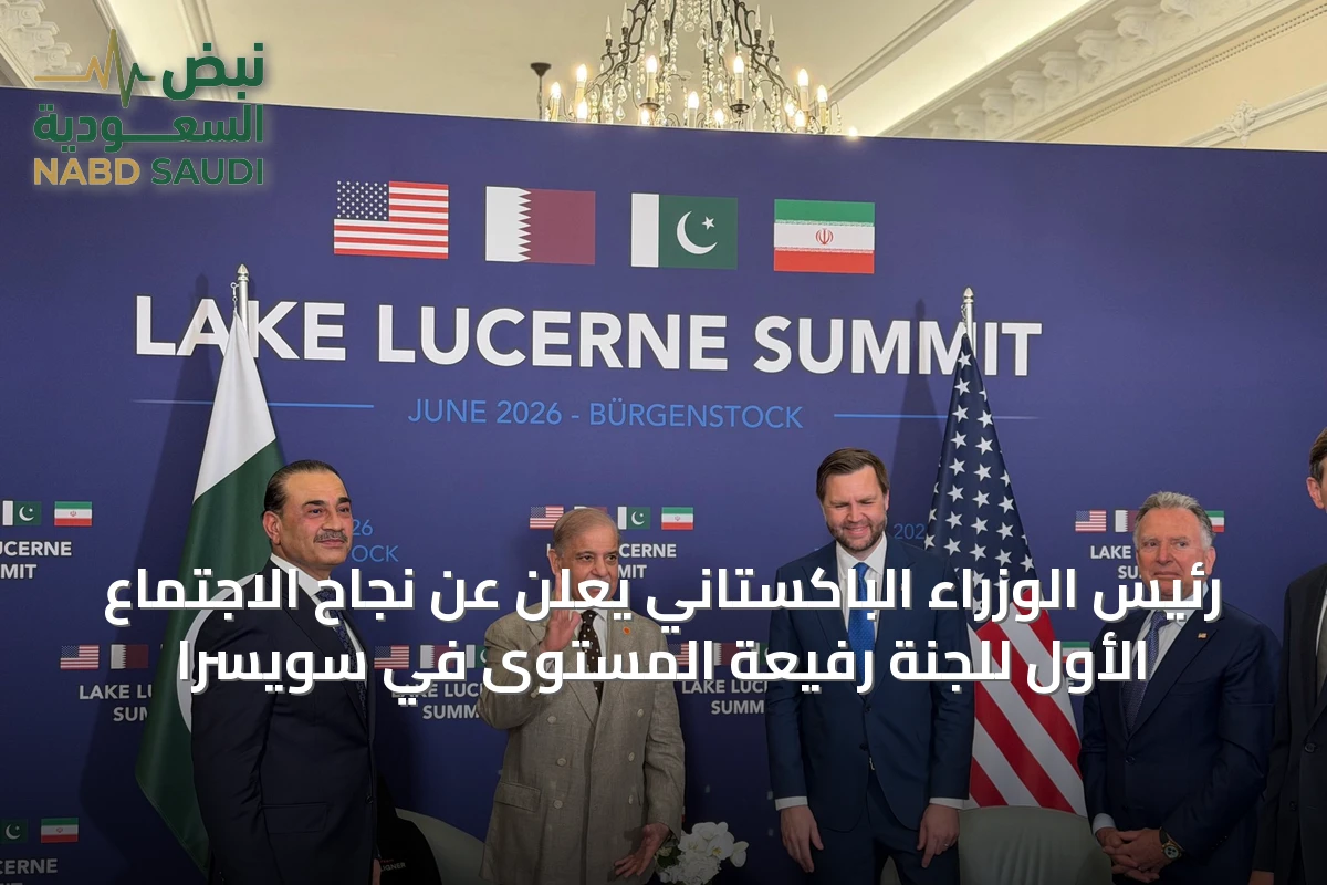 رئيس الوزراء الباكستاني يعلن عن نجاح الاجتماع الأول للجنة رفيعة المستوى في سويسرا