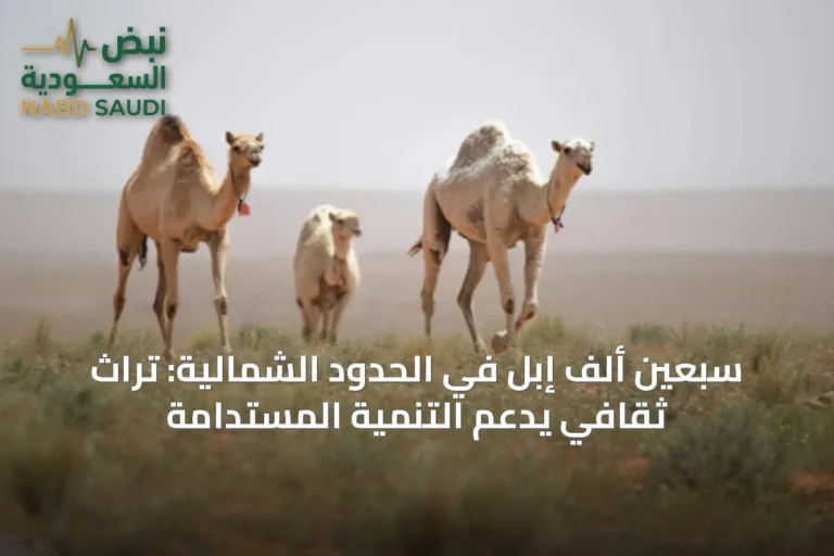 سبعين ألف إِبل في الحدود الشمالية: تراثٌ ثقافي يدعم التنمية المستدامة