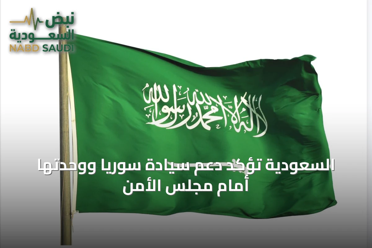 السعودية تؤكد دعم سيادة سوريا ووحدتها أمام مجلس الأمن