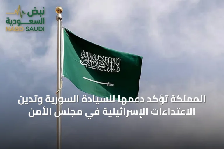 المملكة تؤكد دعمها للسيادة السورية وتدين الاعتداءات الإسرائيلية في مجلس الأمن