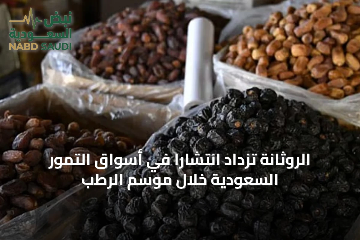 الروثانة تزداد انتشارًا في أسواق التمور السعودية خلال موسم الرطب