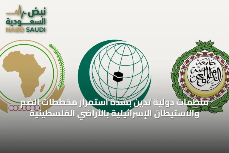 منظمات دولية تدين بشدة استمرار مخططات الضم والاستيطان الإسرائيلية بالأراضي الفلسطينية