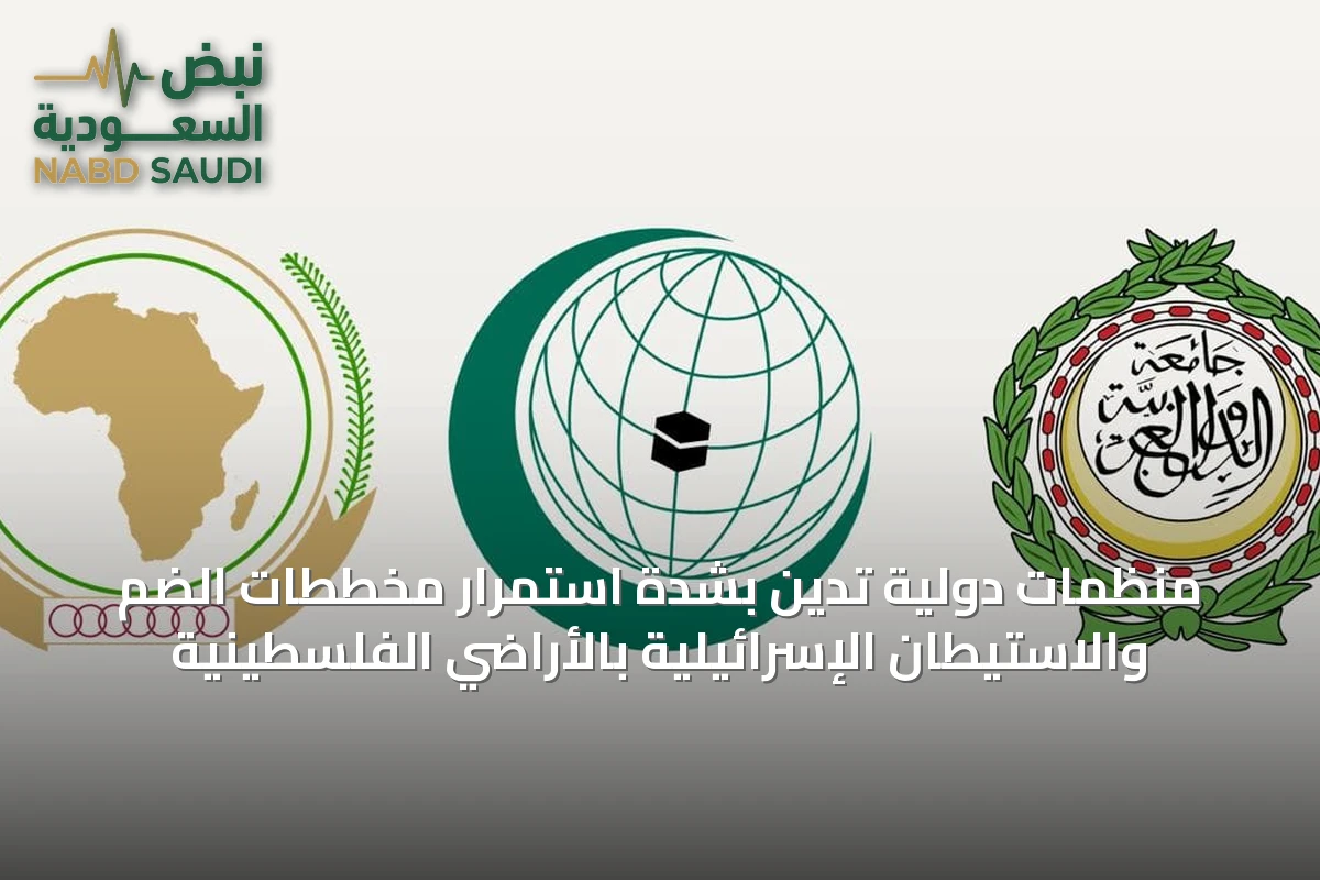 منظمات دولية تدين بشدة استمرار مخططات الضم والاستيطان الإسرائيلية بالأراضي الفلسطينية