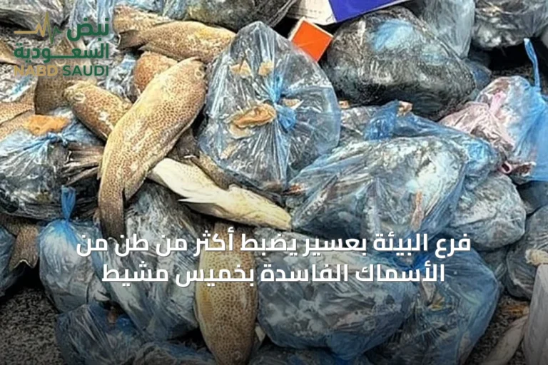فرع البيئة بعسير يضبط أكثر من طن من الأسماك الفاسدة بخميس مشيط