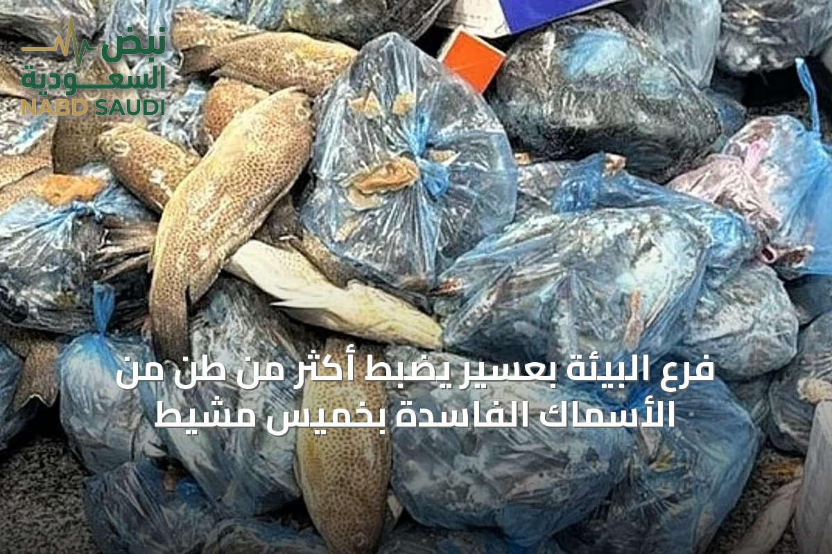 فرع البيئة بعسير يضبط أكثر من طن من الأسماك الفاسدة بخميس مشيط