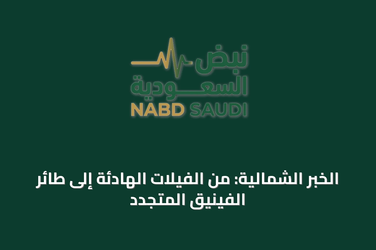 الخبر الشمالية: من الفيلات الهادئة إلى طائر الفينيق المتجدد