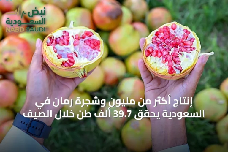 إنتاج أكثر من مليون وشجرة رمان في السعودية يحقق 39.7 ألف طن خلال الصيف