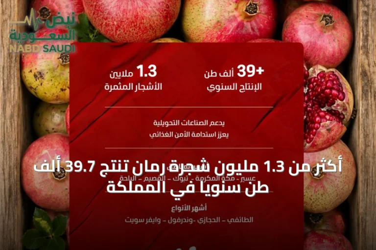 أكثر من 1.3 مليون شجرة رمان تنتج 39.7 ألف طن سنويًا في المملكة