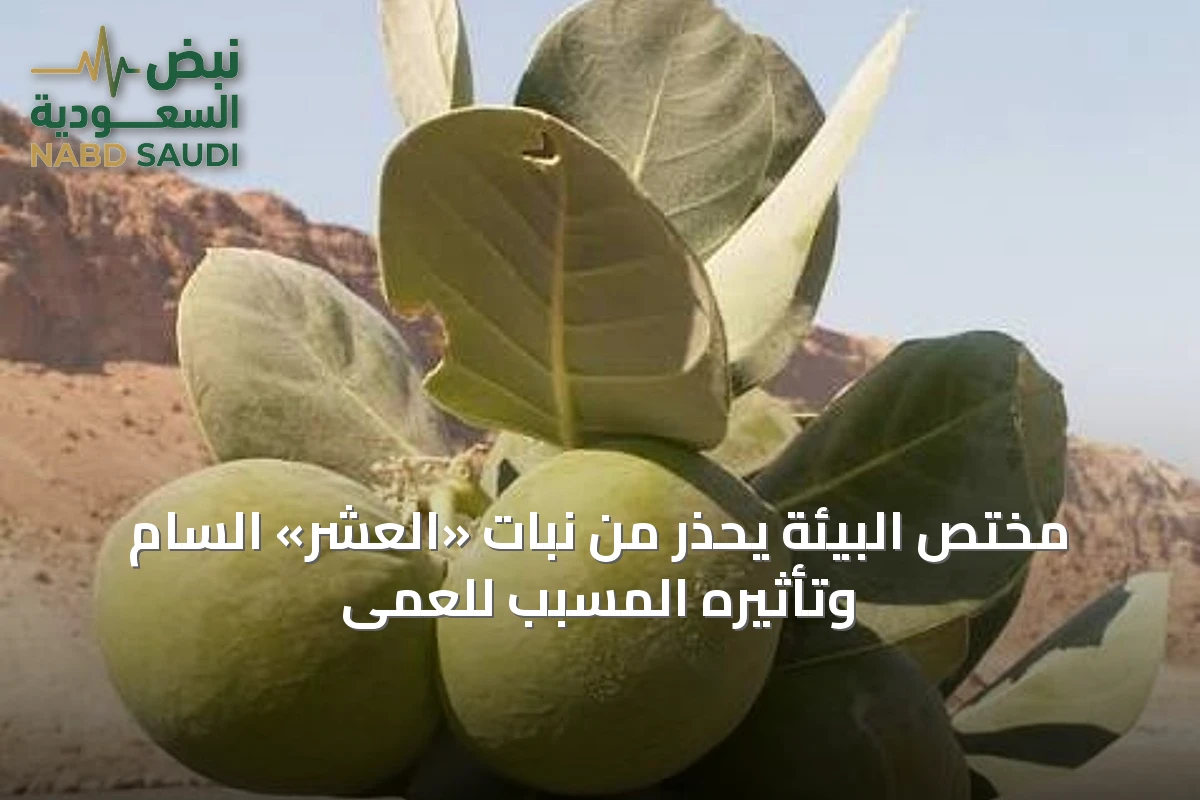 مختص البيئة يحذر من نبات «العشر» السام وتأثيره المسبب للعمى