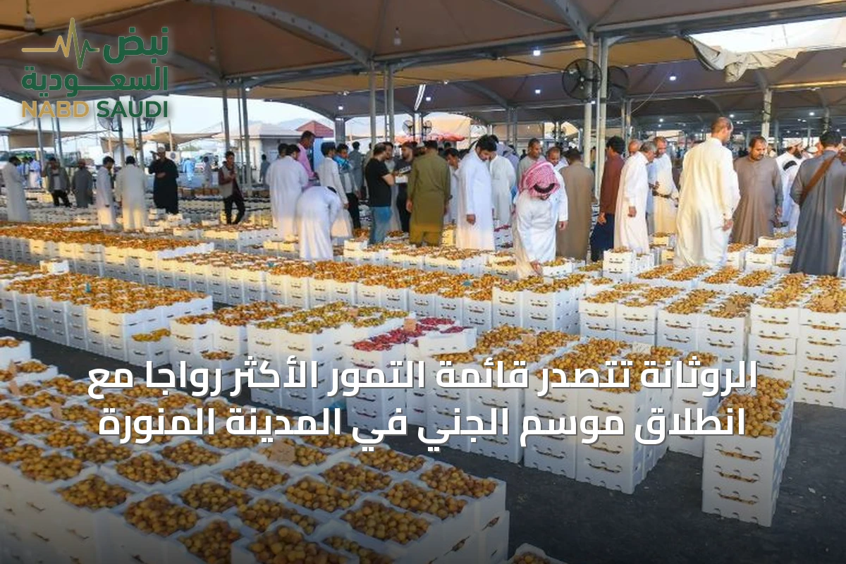 الروثانة تتصدر قائمة التمور الأكثر رواجاً مع انطلاق موسم الجني في المدينة المنورة