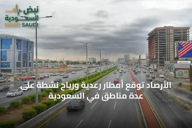 الأرصاد توقع أمطار رعدية ورياح نشطة على عدة مناطق في السعودية