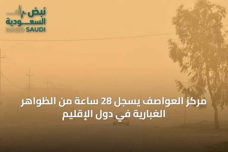 مركز العواصف يسجل 28 ساعة من الظواهر الغبارية في دول الإقليم
