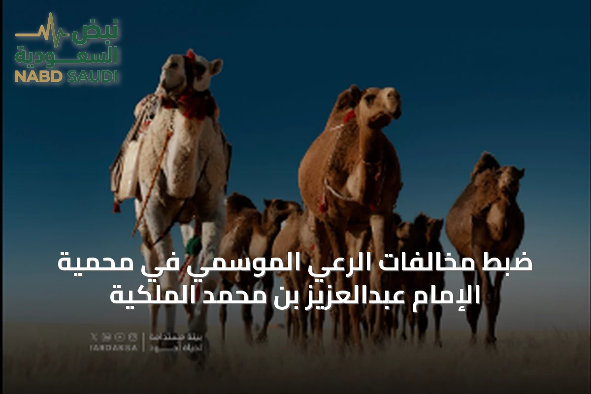 ضبط مخالفات الرعي الموسمي في محمية الإمام عبدالعزيز بن محمد الملكية