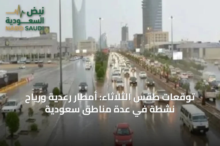 توقعات طقس الثلاثاء: أمطار رعدية ورياح نشطة في عدة مناطق سعودية