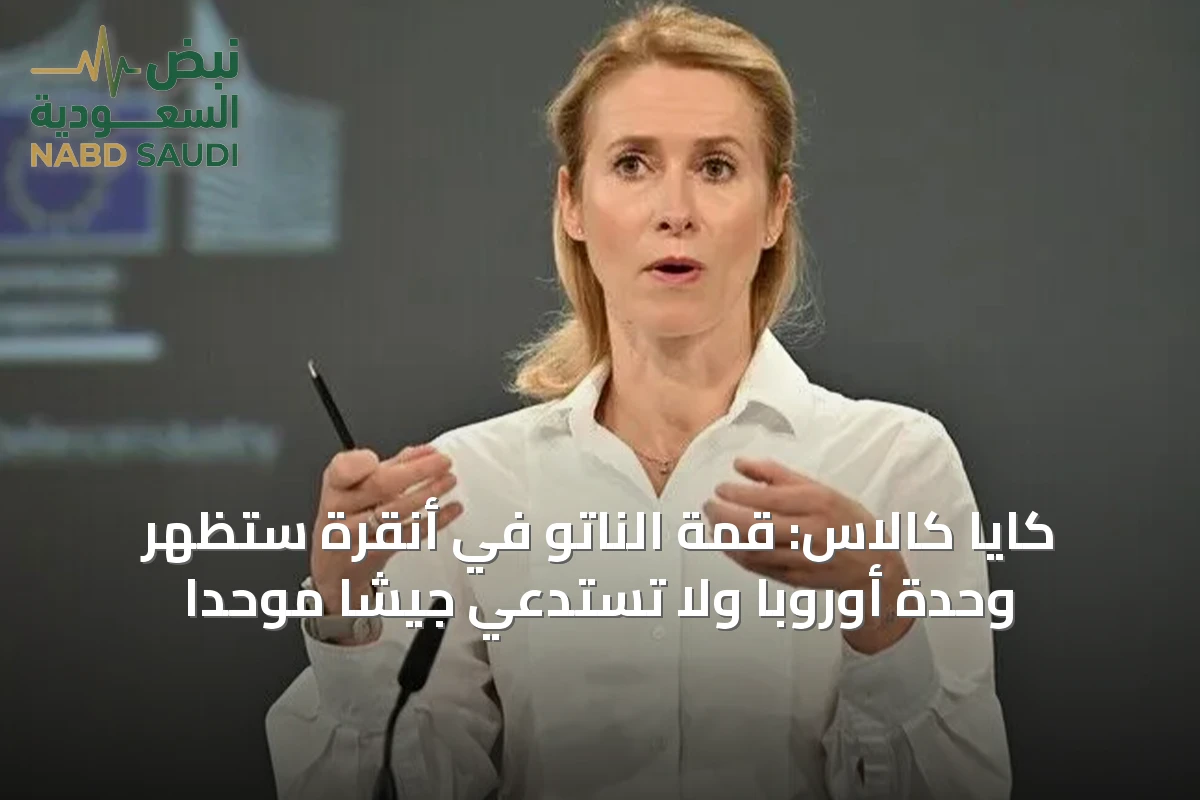 كايا كالاس: قمة الناتو في أنقرة ستُظهر وحدة أوروبا ولا تستدعي جيشًا موحدًا