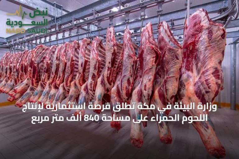 وزارة البيئة في مكة تُطلق فرصة استثمارية لإنتاج اللحوم الحمراء على مساحة 840 ألف متر مربع