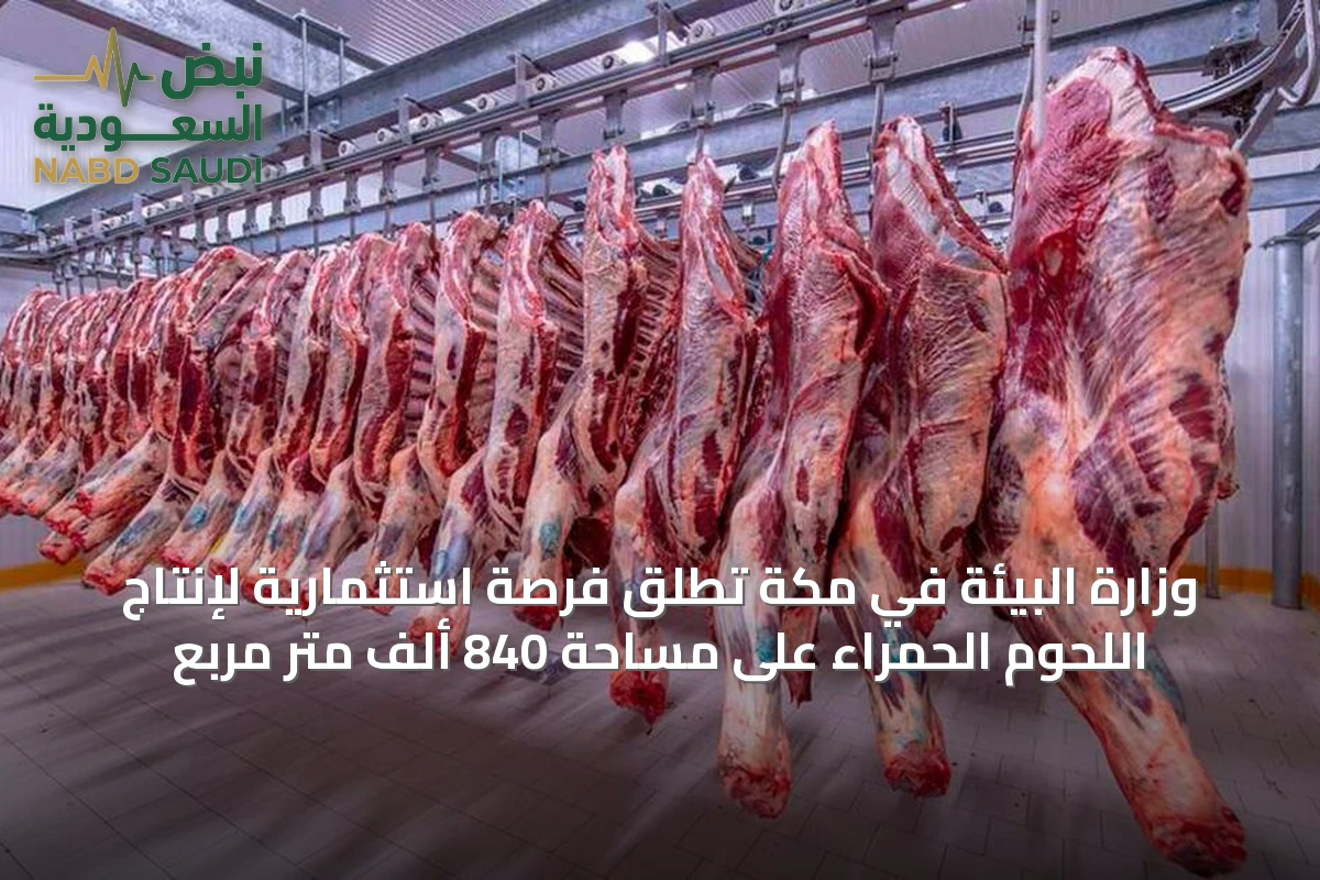 وزارة البيئة في مكة تُطلق فرصة استثمارية لإنتاج اللحوم الحمراء على مساحة 840 ألف متر مربع