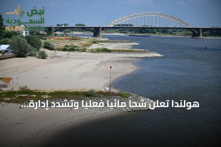 هولندا تعلن شحا مائيا فعليا وتشدّد إدارة الموارد المائية بسبب الجفاف