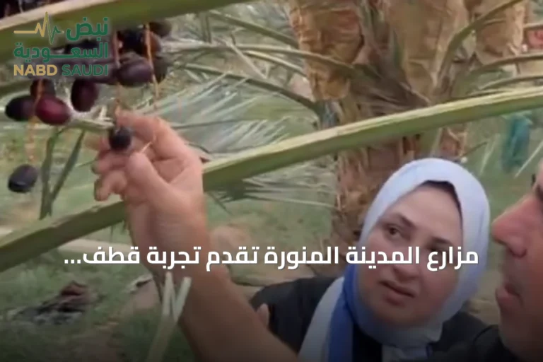 مزارع المدينة المنورة تُقدم تجربة قطف الرطب داخل فعاليات موسم تمور 2026