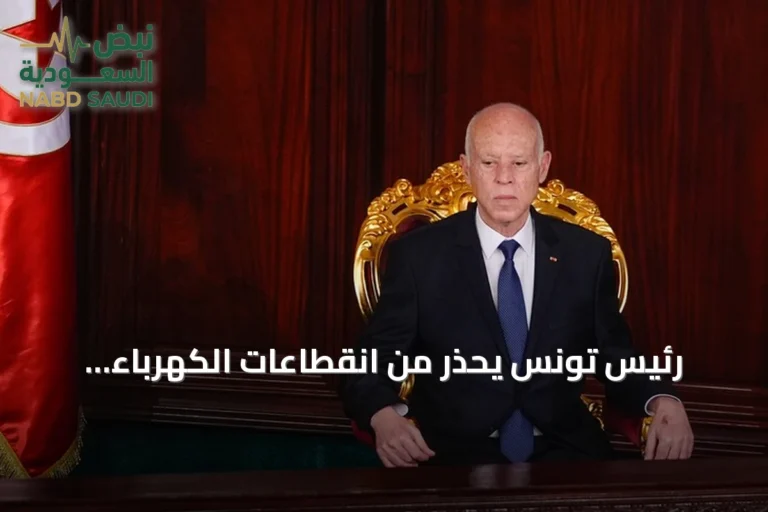 رئيس تونس يحذر من انقطاعات الكهرباء المتوعداً بمحاسبة المقصرين