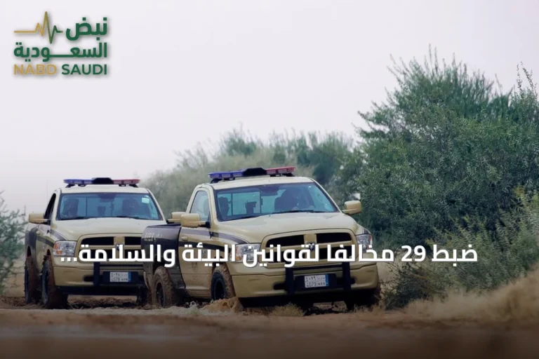 ضبط 29 مخالفاً لقوانين البيئة والسلامة البحرية في مناطق سعودية