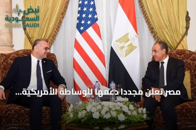 مصر تعلن مجدداً دعمها للوساطة الأمريكية الرامية إلى تسوية سياسية دائمة في ليبيا