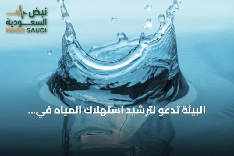 البيئة تدعو لترشيد استهلاك المياه في الصيف لضمان الاستخدام المستدام