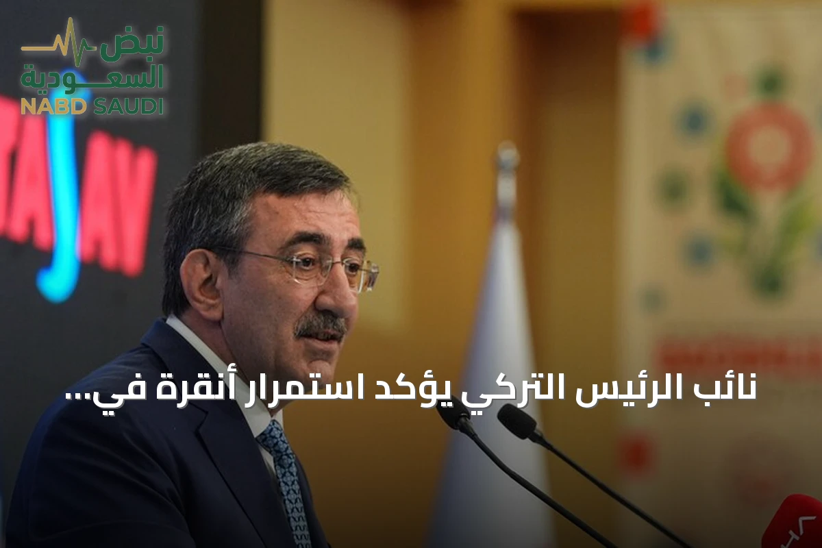 نائب الرئيس التركي يؤكد استمرار أنقرة في دعم قبرص التركية