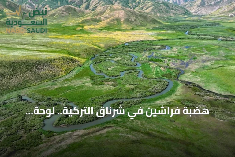 هضبة فراشين في شرناق التركية.. لوحة طبيعية تمتزج فيها الثلوج والمروج الخضراء