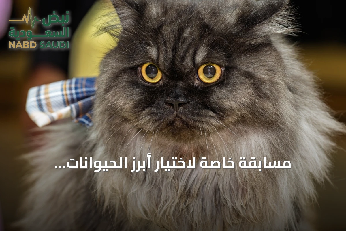 مسابقة خاصة لاختيار أبرز الحيوانات بمعايير متعددة