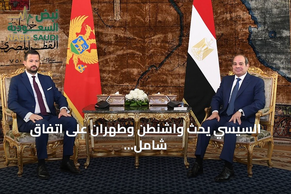 السيسي يحث واشنطن وطهران على اتفاق شامل ومستدام خلال لقائه رئيس الجبل الأسود