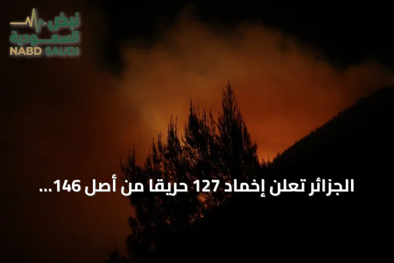الجزائر تُعلن إخماد 127 حريقاً من أصل 146 خلال 24 ساعة