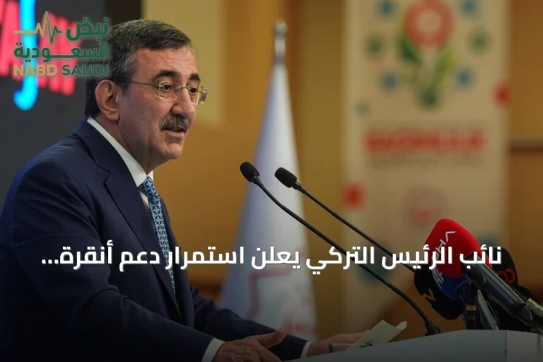 نائب الرئيس التركي يعلن استمرار دعم أنقرة لجمهورية شمال قبرص التركية