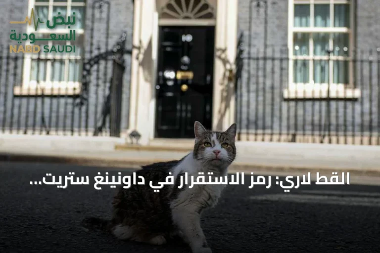 القط لاري: رمز الاستقرار في داونينغ ستريت وسط تقلبات السياسة البريطانية