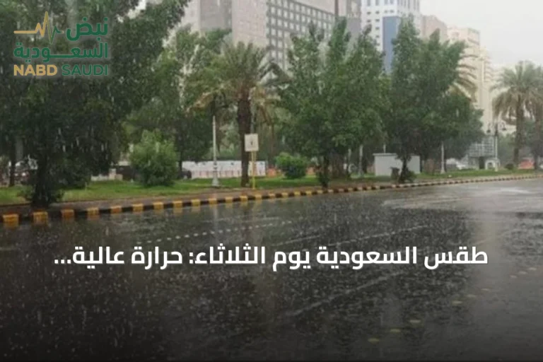 طقس السعودية يوم الثلاثاء: حرارة عالية ورياح مثيرة للغبار وأمطار محتملة في الجنوب