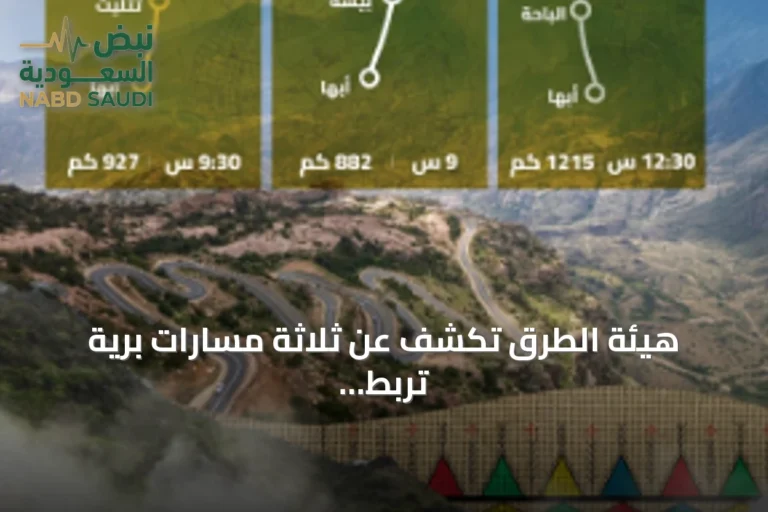 هيئة الطرق تكشف عن ثلاثة مسارات برية تربط الرياض بأبها لتعزيز السياحة