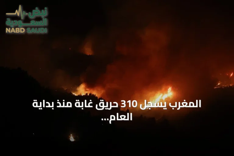 المغرب يسجل 310 حريق غابة منذ بداية العام ومساحة الأراضي المحروقة تنخفض رغم ارتفاع عدد الحرائق