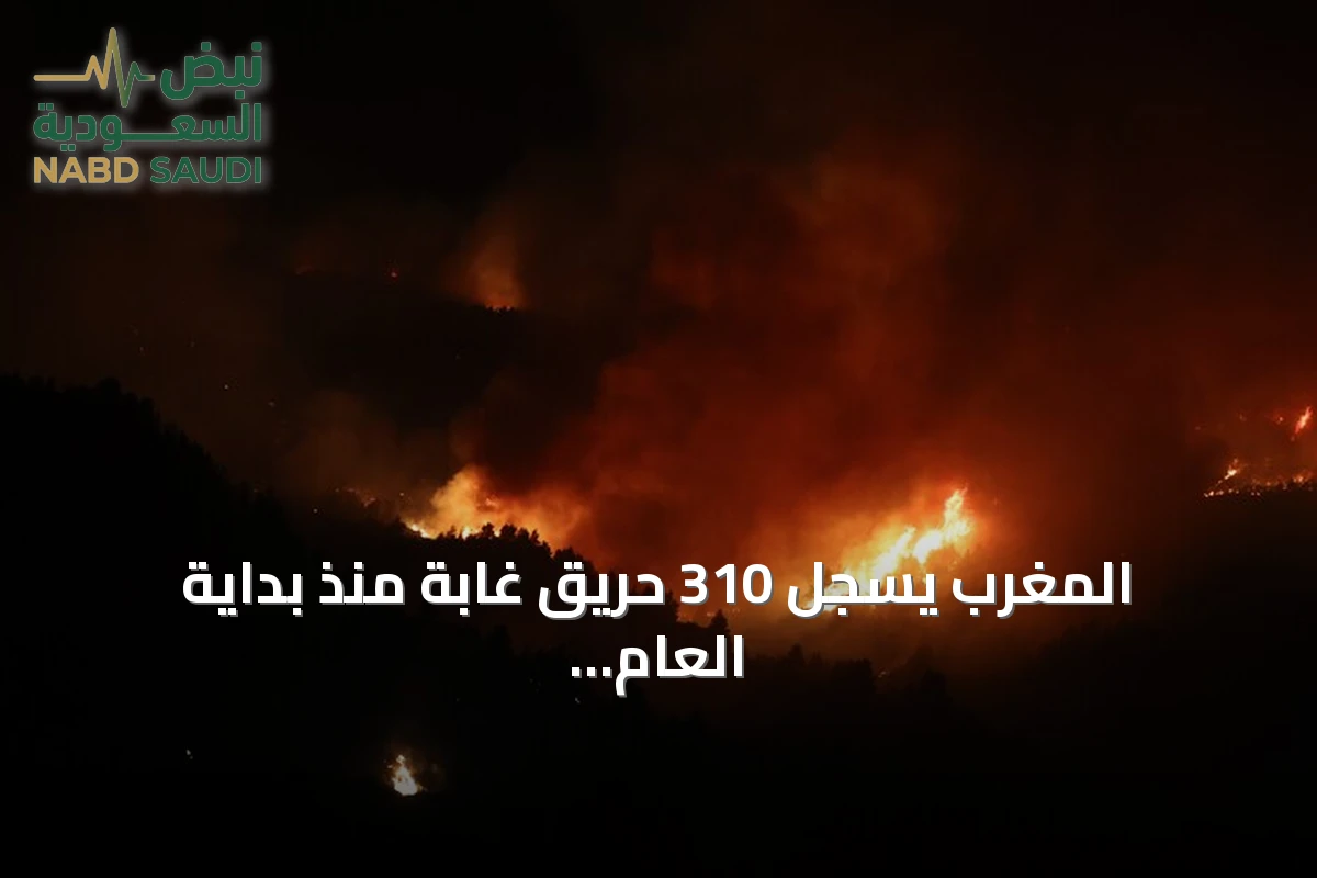 المغرب يسجل 310 حريق غابة منذ بداية العام ومساحة الأراضي المحروقة تنخفض رغم ارتفاع عدد الحرائق