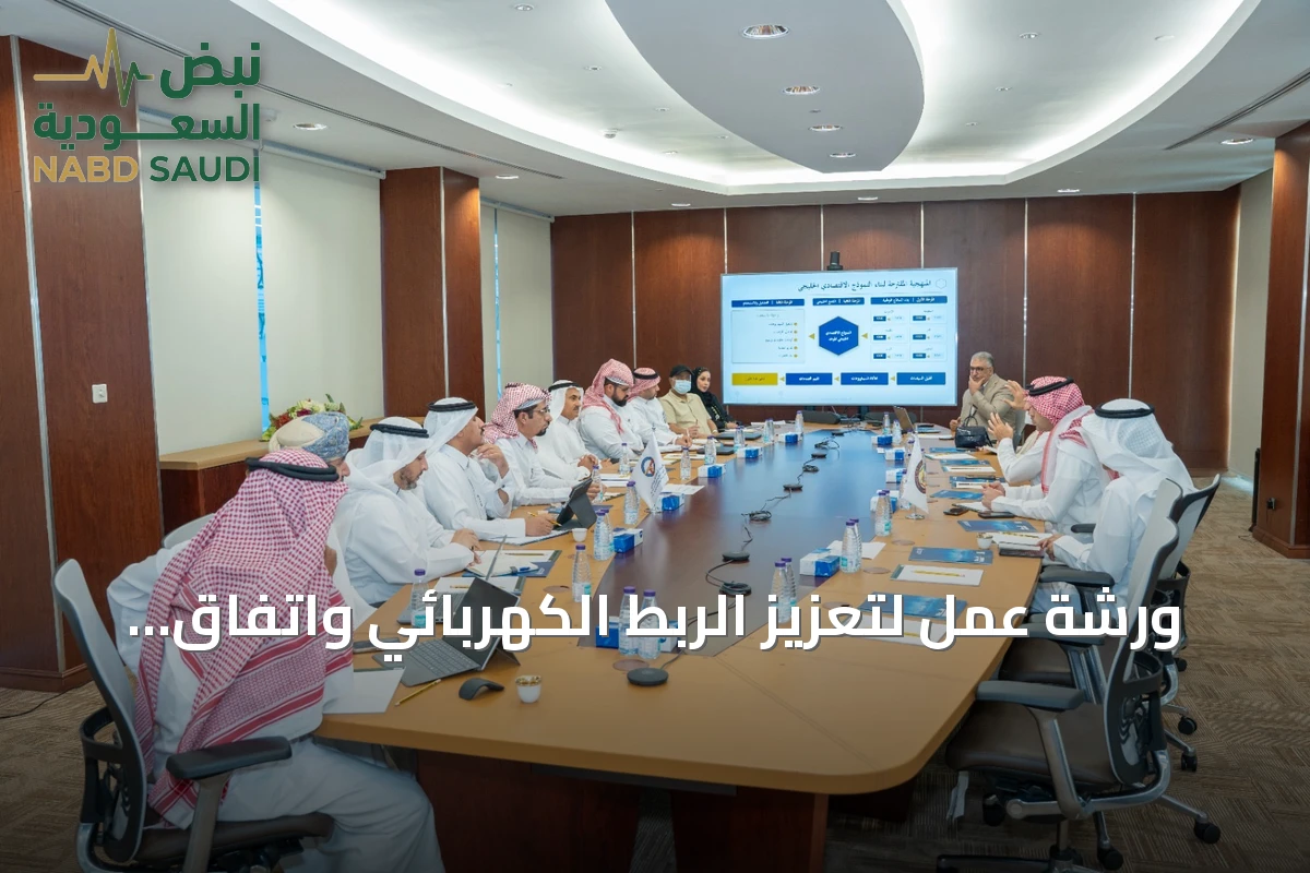 ورشة عمل لتعزيز الربط الكهربائي واتفاق على فريق دراسة مشترك