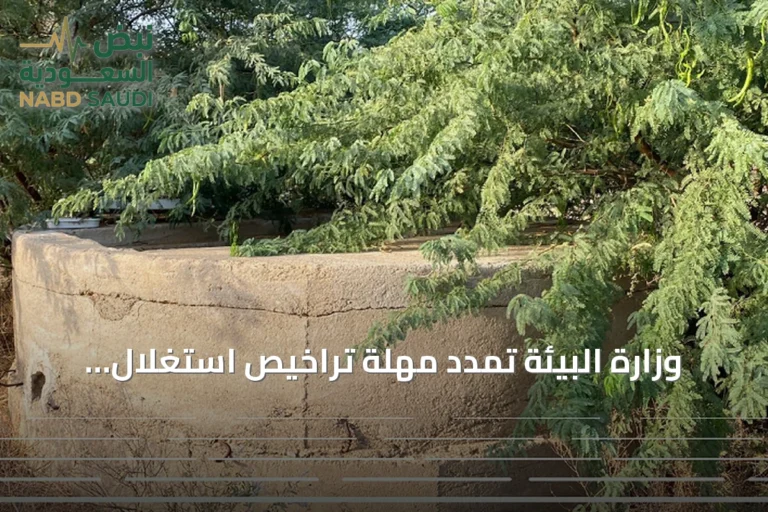 وزارة البيئة تمدد مهلة تراخيص استغلال مياه الآبار حتى يوليو 2027