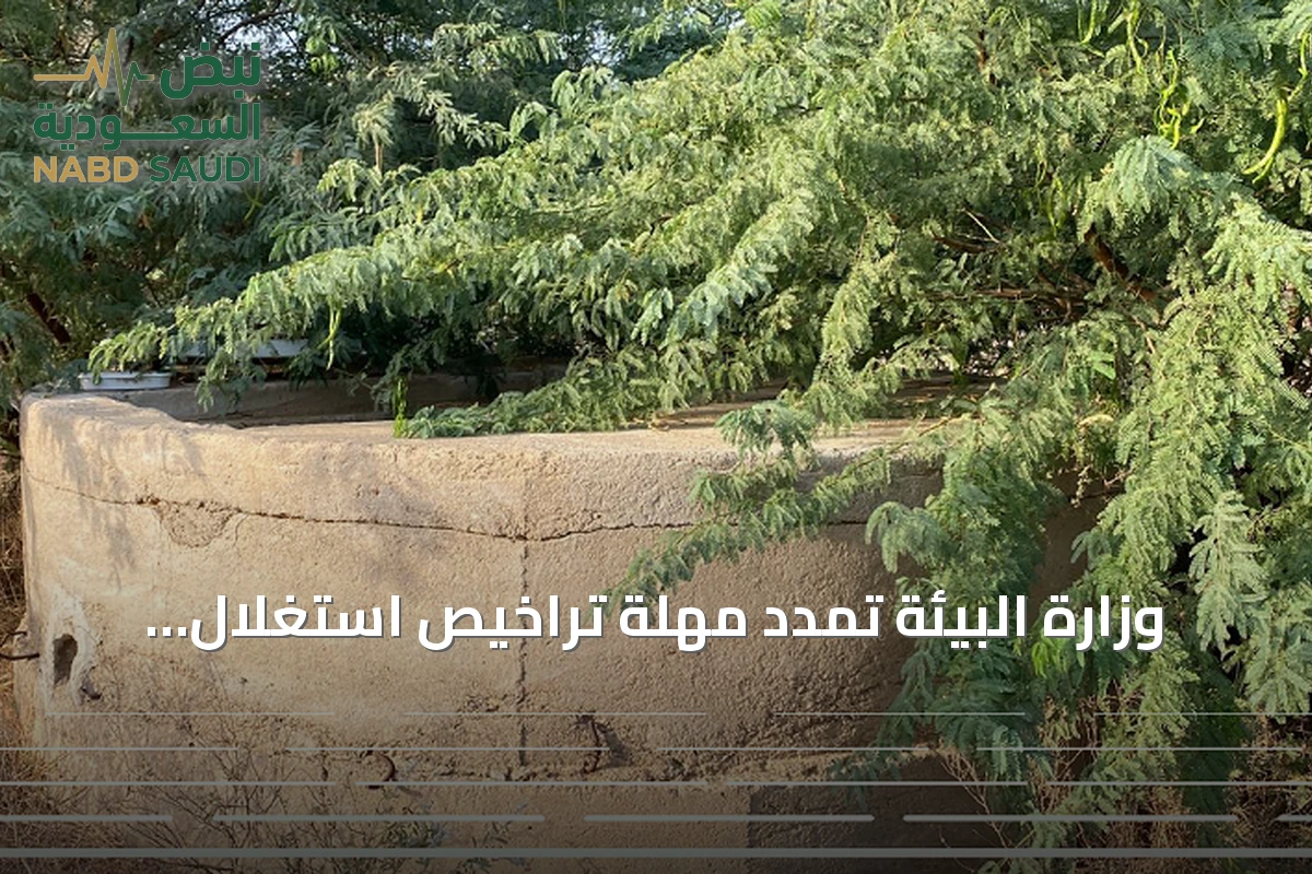 وزارة البيئة تمدد مهلة تراخيص استغلال مياه الآبار حتى يوليو 2027