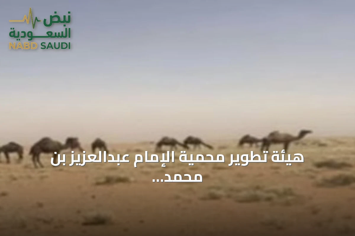 هيئة تطوير محمية الإمام عبدالعزيز بن محمد تعلن عن خمس فرص تشغيلية للسياحة البيئية المستدامة