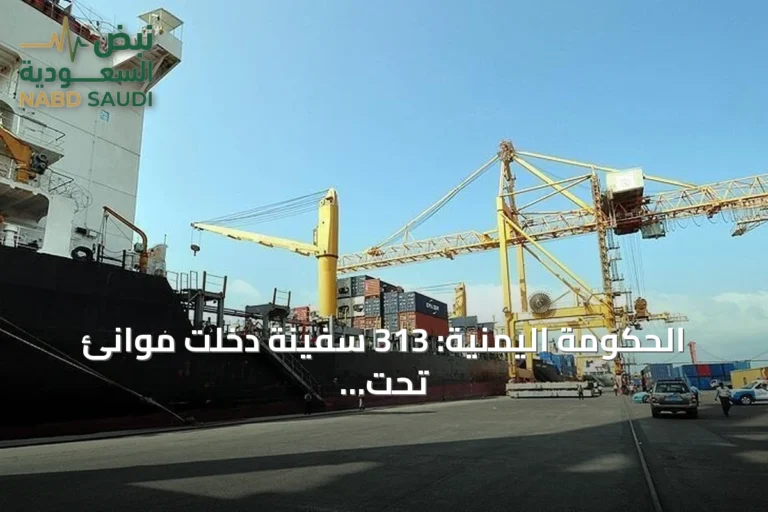 الحكومة اليمنية: 313 سفينة دخلت موانئ تحت سيطرة الحوثيين منذ مطلع 2026