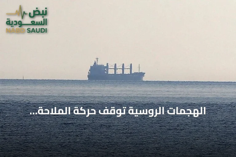 الهجمات الروسية توقف حركة الملاحة التجارية في موانئ أوكرانيا على البحر الأسود