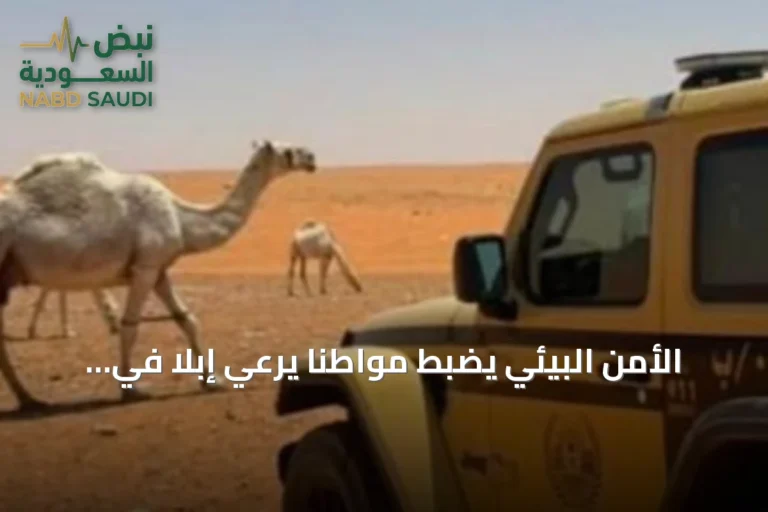 الأمن البيئي يضبط مواطنًا يرعي إبلاً في موقع محظور داخل محمية الإمام تركي بن Abdullah الملكية